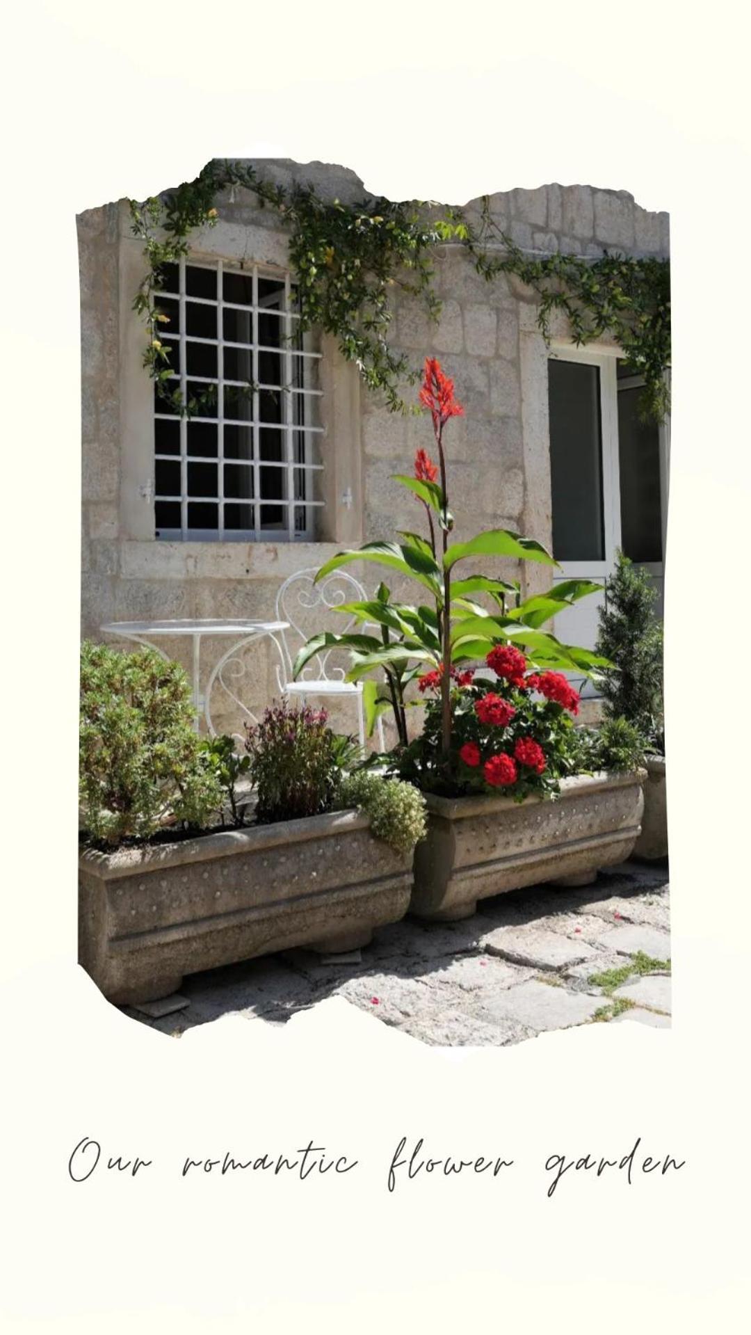 Apartments Visit Perast Exteriör bild